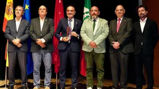 PREMIO ESCOBA DE PLATINO