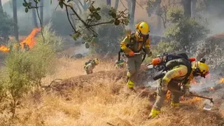 Incendio de Almorox - Servimedia