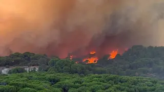 La presidenta de la FEMP traslada su solidaridad y ofrece el apoyo de los ayuntamientos ante los devastadores incendios - Foto de la Federaci&oacute;n Espa&ntilde;ola de Municipios y Provincias (FEMP)