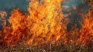 Fuego en los incendios forestales - Foto de UNESPA