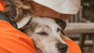 Mujer con perro - Foto del Ayuntamiento de Parla