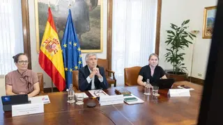 Fernando Grande-Marlaska, durante su intervenci&oacute;n en la videoconferencia - Foto Ministerio del Interior