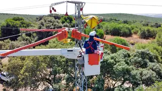 Endesa ensaya nuevas tecnolog&iacute;as y materiales para evitar la electrocuci&oacute;n y colisi&oacute;n de aves en sus redes - Foto de Endesa