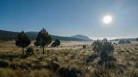 Parque Nacional Iztaccíhuatl-Popocatépetl (México) - Foto de Armando Vega