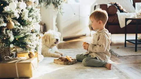 Servicio 012 Reyes Magos - Pexels