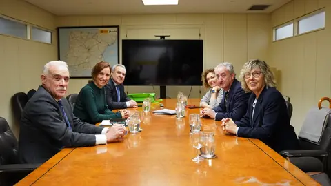 La ministra de Sanidad durante su reunión con el Consejo General de Médicos - Foto de Cgcom
