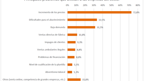 Principales problemas comercio minorista 2023