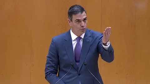 Sánchez en la tribuna del Senado, durante el Pleno del Congreso que aprueba la reforma del artículo 49 de la Constitución