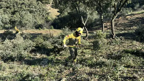 Limpieza de montes prevención incendio - Comunidad de Madrid