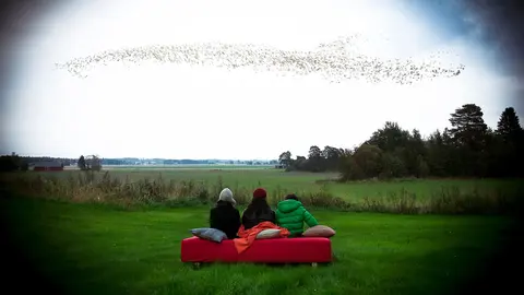 Exposiciones de arte contemporáneo, fotografía y artes gráficas por Madrid - Comunidad de Madrid