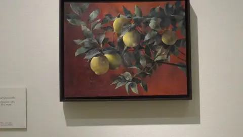Foto 43