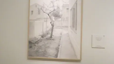 Foto 41