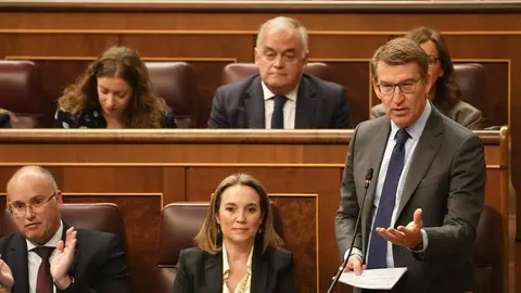 Feijóo, Gamarra y Tellado participan en una sesión de control al Gobierno en el Congreso - David Mudarra/PP