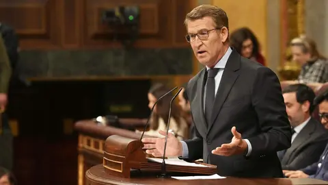 Feijóo interviene en el Pleno del Congreso - Foto de David Mudarra/PP