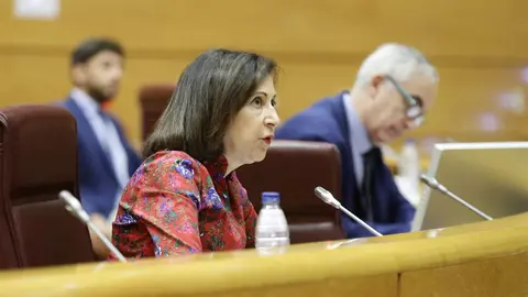 Robles en una comparecencia en la Cámara Alta - Foto del Senado