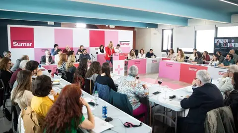 La reunión del Grupo de Coordinación que eligió a la primera Ejecutiva de Sumar - Foto de Sumar