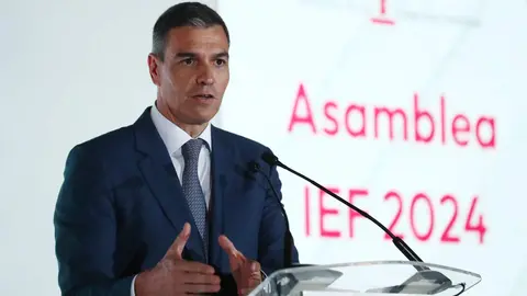 Sánchez, durante su intervención |- Pool Moncloa/Fernando Calvo
