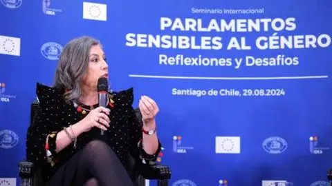 Asunción Mayo en el seminario internacional Parlamentos Sensibles al Género: Reflexiones y  Desafíos