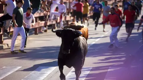 Momento de años anteriores del encierro de Las Rozas por sus fiestas - Foto Ayuntamiento de Las Rozas