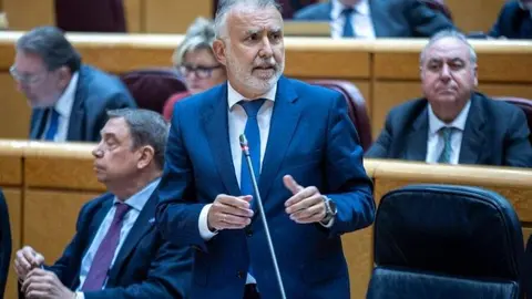 Torres en el Senado | Foto de Senado