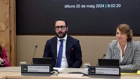 Victor de Aldama