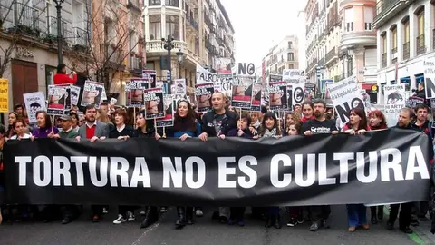 Plataforma La Tortura No es Cultura Manifestacion