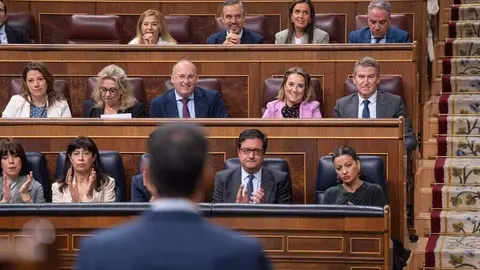 Alberto Núñez Feijóo, en el Congreso | Foto del PP