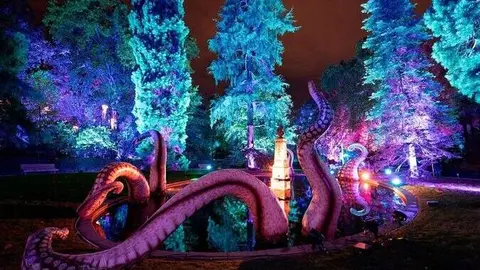 Naturaleza Encendida