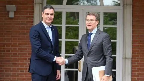 Pedro Sánchez y Alberto Núñez Fejóo, en una reunión el año pasado en La Moncloa | Foto de Pool Moncloa/Borja Puig de la Bellacasa