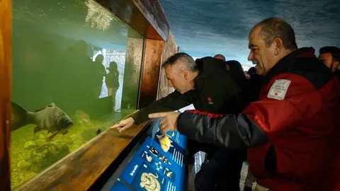 Carlos Novillo - Comunidad de Madrid