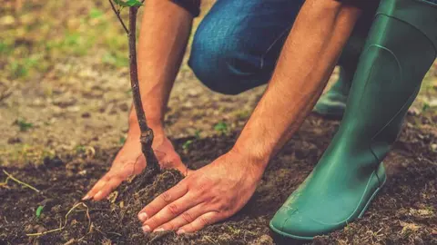 Inversión de medio millón de euros en la preservación del patrimonio natural y la biodiversidad - Comunidad de Madrid