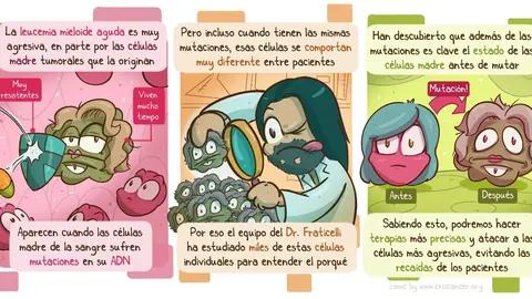 Leucemia mieloide aguda - criscancer.org