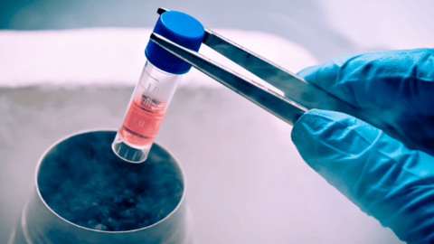 Importante avance en la terapia con nanopartículas para la distrofia muscular de Duchenne en Madrid