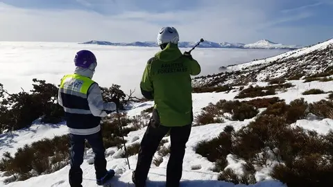 Sondeo Navafría