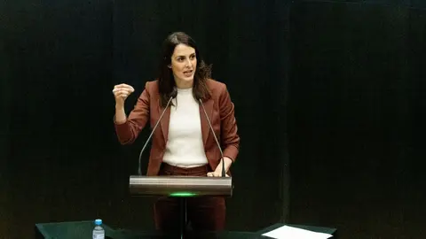 Rita Maestre en un Pleno - Foto Más Madrid