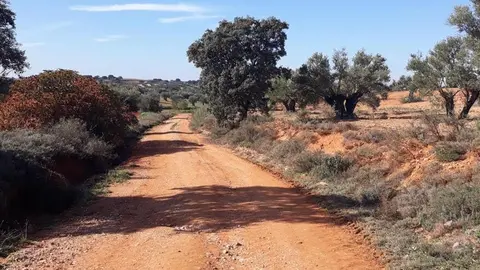 Ampliación de las ayudas para caminos rurales a municipios de hasta 20.000 habitantes