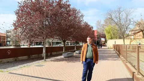 El Ayuntamiento de Alcalá de Henares renueva la iluminación en la Plaza de la Paloma con una inversión de 17.000 euros