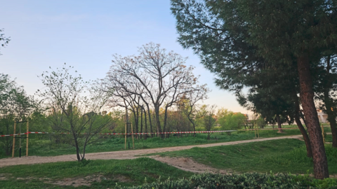 Zona del futuro cantón balizada - Foto Fravm