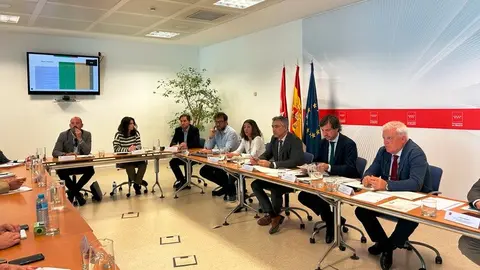 El consejero Novillo, en la reunión del Consejo de  Medio Ambiente - Foto Comunidad de Madrid