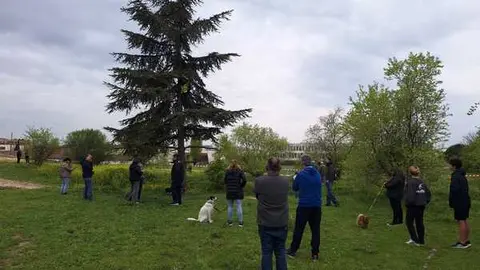 Vecinos de Montecarmelo se encadenan a los árboles para evitar su trasplante por las obras del cantón de limpieza - FRAVM