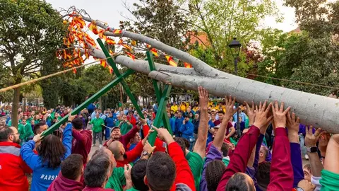 Las peñas de Móstoles conmemoran los “quintos de mayo” - Foto Ayuntamiento de Móstoles
