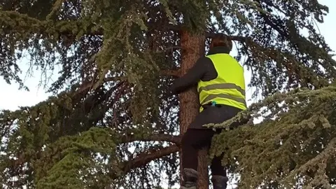Una vecina subida a un árbol en Montecarmelo - Foto Fravm