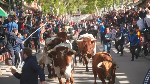 Encierros
