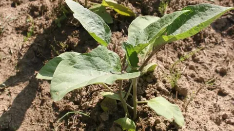 Madrid impulsa la formación rural con 35 cursos gratuitos para profesionales del campo