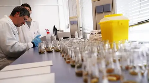 Imagen de archivo de análisis en el Laboratorio de Salud Pública