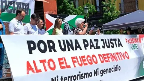 Manifestacia Palestina Libre - PSOE M