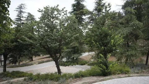 Zonas verdes y caminos en el Parque la Vina (Madrid) - Ayuntamiento de Madrid