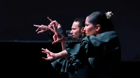 Gala Flamenca - Foto Ayuntamiento de Móstoles