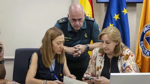 Virginia Barcones, en la reunión de hoy del Comité Estatal de Coordinación y Dirección del Plan Estatal de Emergencias | Foto del Ministerio del Interior