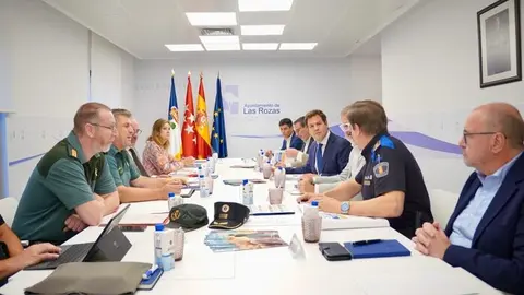 JUNTA LOCAL SEGURIDAD LAS ROZAS